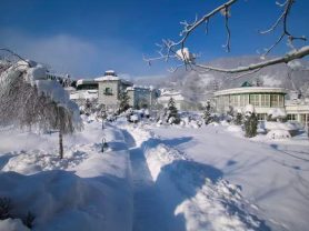 حجز فنادق وطيران