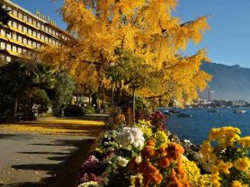 حجز فنادق وطيران