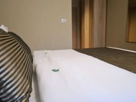 حجز فنادق وطيران