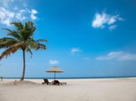 حجز فنادق وطيران