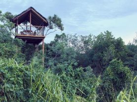 حجز فنادق وطيران