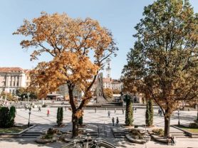 حجز فنادق وطيران