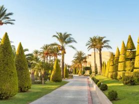 حجز فنادق وطيران