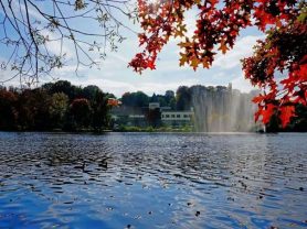 حجز فنادق وطيران