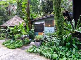 حجز فنادق وطيران