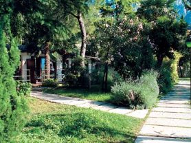 حجز فنادق وطيران