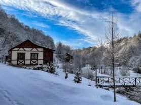 حجز فنادق وطيران