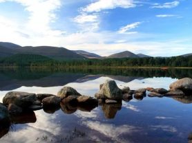 حجز فنادق وطيران