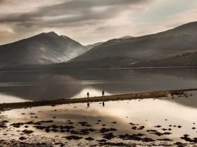 حجز فنادق وطيران