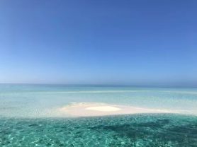 حجز فنادق وطيران