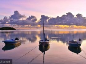 حجز فنادق وطيران