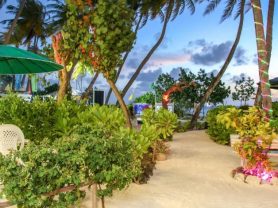 حجز فنادق وطيران