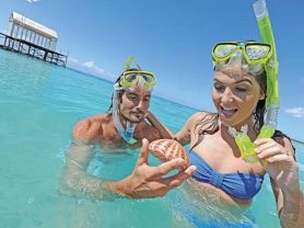 حجز فنادق وطيران