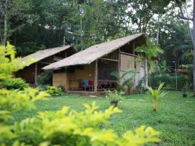 حجز فنادق وطيران