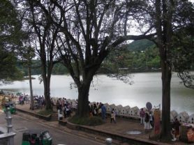 حجز فنادق وطيران