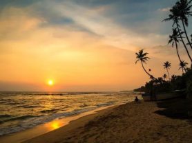 حجز فنادق وطيران