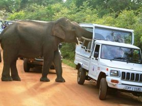 حجز فنادق وطيران