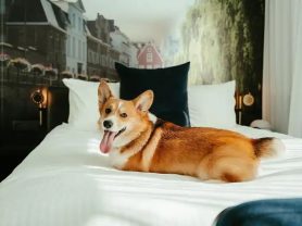 حجز فنادق وطيران