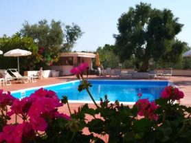 حجز فنادق وطيران