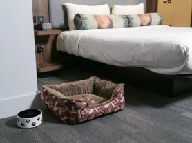 حجز فنادق وطيران