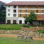 حجز فنادق وطيران